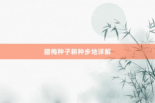 腊梅种子耕种步地详解