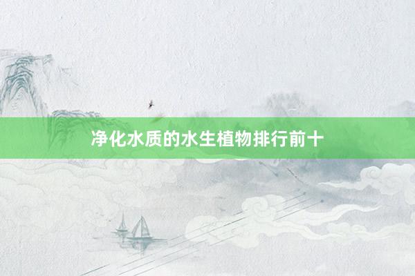 净化水质的水生植物排行前十