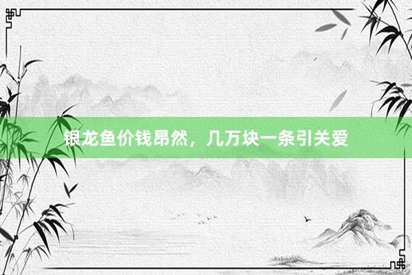 银龙鱼价钱昂然，几万块一条引关爱