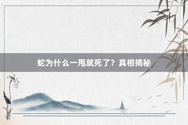 蛇为什么一甩就死了？真相揭秘