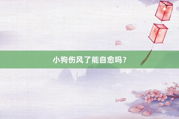 小狗伤风了能自愈吗？